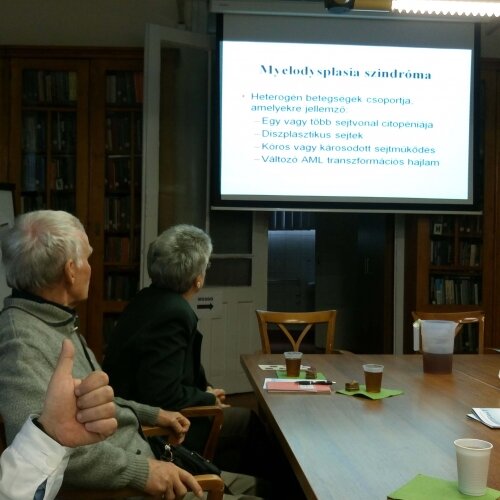 Fotók » 2016.04.25. MDS Támogató Csoport