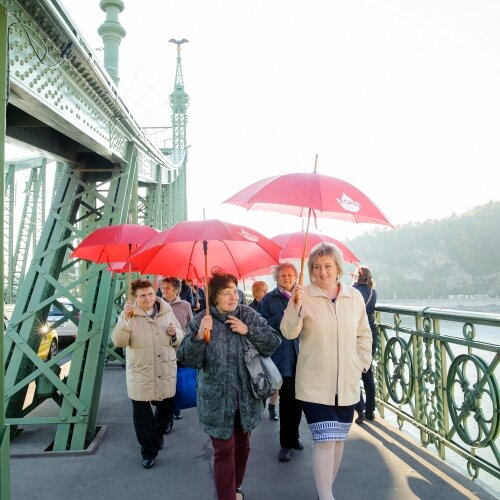 Fotók » 2016.12.17. Ismeretterjesztő program a mieloproliferatív betegségekről